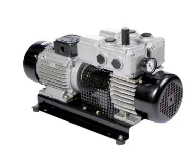 dry vacuum pump